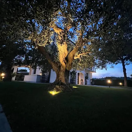 Appartement Torrione - & Pool